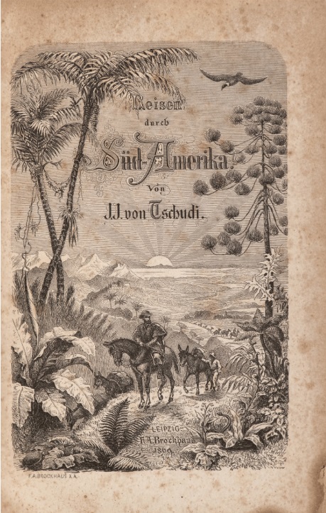 ΒΙ_0056_cover.jpg