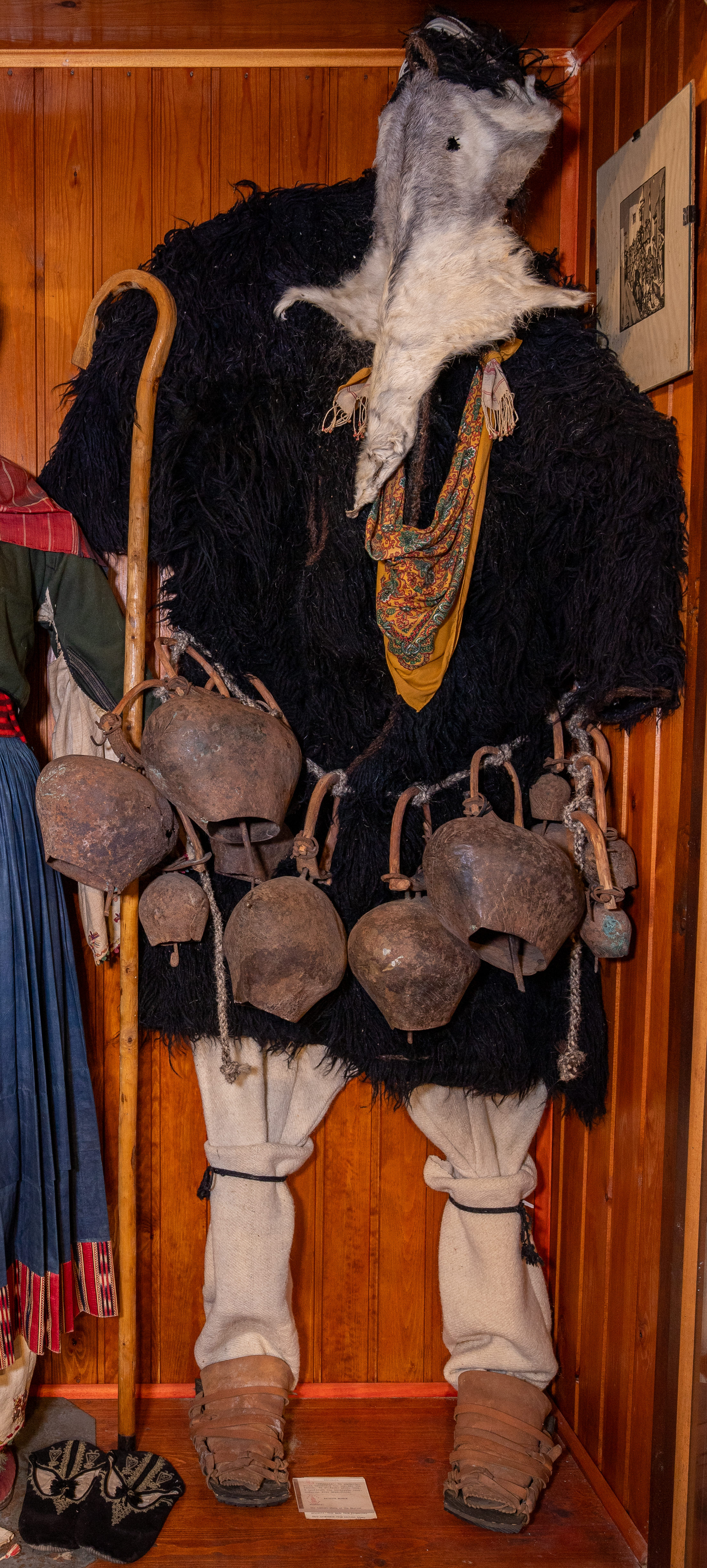 IMG_1570-2.jpg